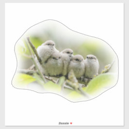 Heartwärming Niedlich Bushtits Songbirds Family Fo Aufkleber