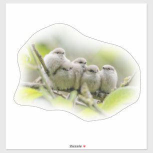 Heartwärming Niedlich Bushtits Songbirds Family Fo Aufkleber
