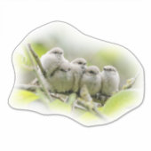 Heartwärming Niedlich Bushtits Songbirds Family Fo Aufkleber (Vorderseite)