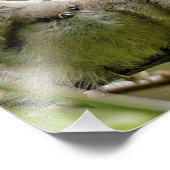 Heartwärming Niedlich Bushtits Songbirds Family Fo Fotodruck (Ecke)