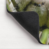 Heartwärming Niedlich Bushtits Songbirds Family Fo Mousepad (Ecke)