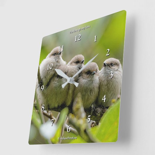 Heartwärming Niedlich Bushtits Songbirds Family Fo Quadratische Wanduhr (Winkel)