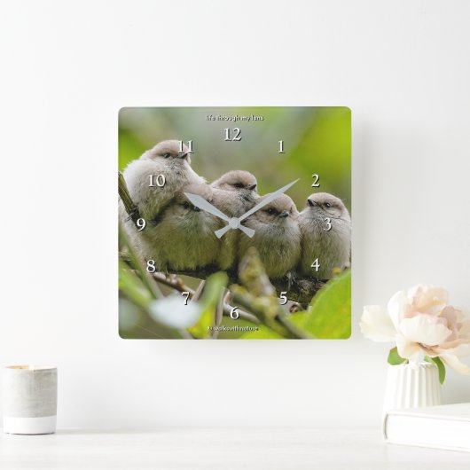 Heartwärming Niedlich Bushtits Songbirds Family Fo Quadratische Wanduhr (Zuhause)
