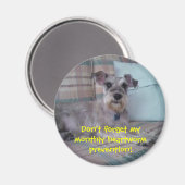 Heartworm Erinnerung Magnet (Vorderseite/Rückseite)