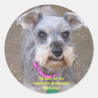Heartworm Medicine Erinnerung Stickers