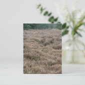 Heath Postkarte (Stehend Vorderseite)