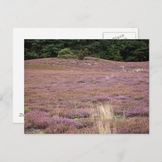 Heath Postkarte (Vorne/Hinten)