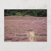 Heath Postkarte (Vorderseite)