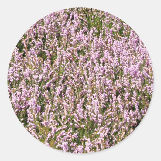 Heather Blume Schöne Aussicht Runder Aufkleber (Vorderseite)