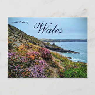 Heather in  Pembrokeshire Wales Postkarte