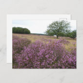 Heather Landscape DIY Postcard Postkarte (Vorne/Hinten)