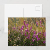 Heather Postcard Postkarte (Vorne/Hinten)