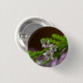Heather Spring Blume immergrün blühen lila weiß Button (Vorne & Hinten)