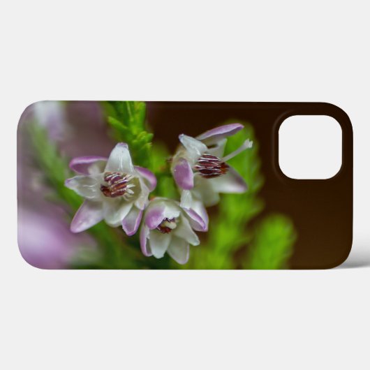 Heather Spring Blume immergrün blühen lila weiß Case-Mate iPhone Hülle (Rückseite (Horizontal))