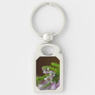 Heather Spring Blume immergrün blühen lila weiß Schlüsselanhänger
