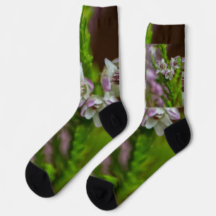 Heather Spring Blume immergrün blühen lila weiß Socken