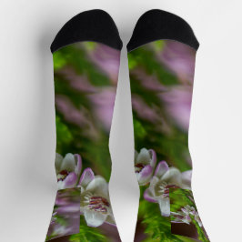 Heather Spring Blume immergrün blühen lila weiß Socken