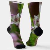Heather Spring Blume immergrün blühen lila weiß Socken (Gewinkelt)