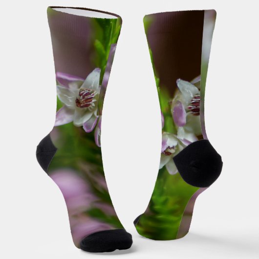 Heather Spring Blume immergrün blühen lila weiß Socken (Gewinkelt)