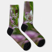 Heather Spring Blume immergrün blühen lila weiß Socken (Rechts)