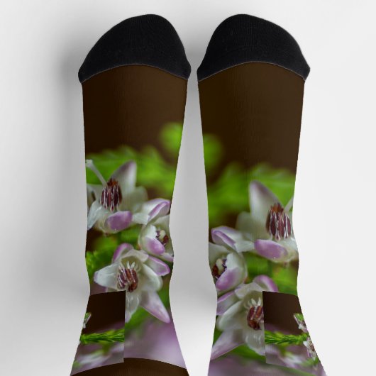 Heather Spring Blume immergrün blühen lila weiß Socken (Oben)
