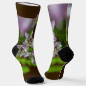 Heather Spring Blume immergrün blühen lila weiß Socken (Gewinkelt)