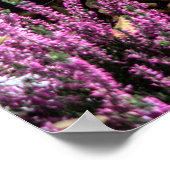 Heather und Beeren Poster (Ecke)