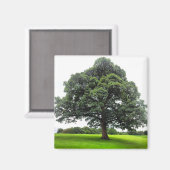 Heaton Park Magnet (Vorderseite/Rückseite)