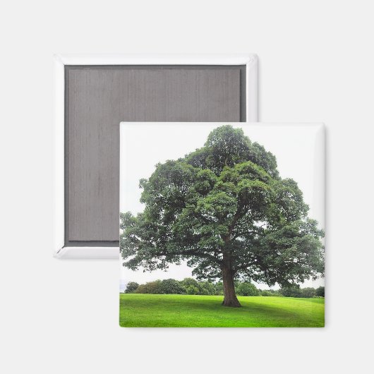 Heaton Park Magnet (Vorderseite/Rückseite)