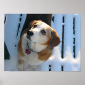 Heaven Bound Poster (Vorne)