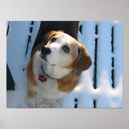 Heaven Bound Poster (Vorne)