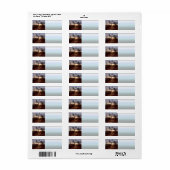 Heavens Gate (Vorne)