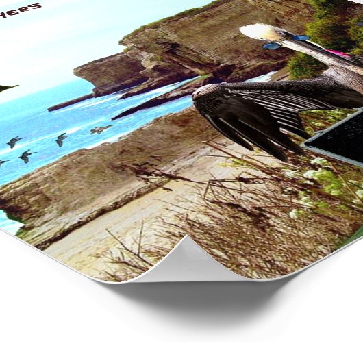 "Heavy Feathers" von Jason T. Reimche Poster (Ecke)