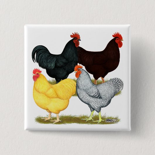 Heavy Rooster Chicken Quartett Button (Vorderseite)