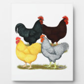 Heavy Rooster Chicken Quartett Fotoplatte (Vorderseite)