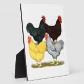 Heavy Rooster Chicken Quartett Fotoplatte (Seite)