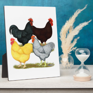 Heavy Rooster Chicken Quartett Fotoplatte