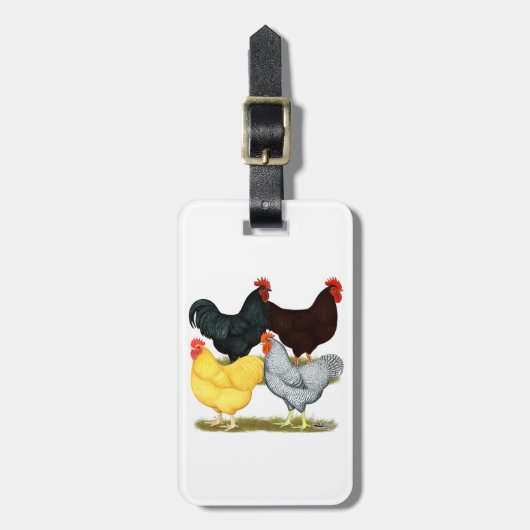 Heavy Rooster Chicken Quartett Gepäckanhänger (Vorderseite vertikal)
