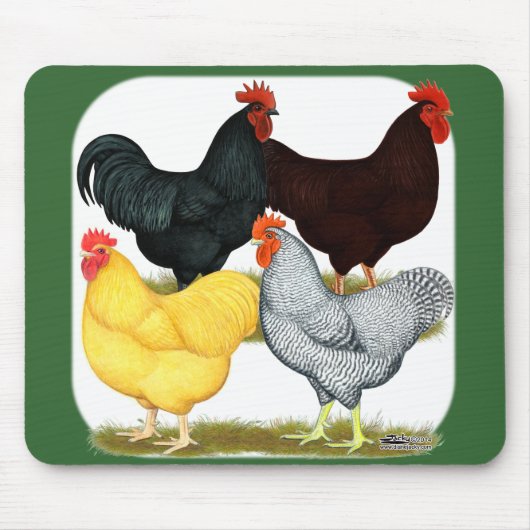 Heavy Rooster Chicken Quartett Mousepad (Vorne)
