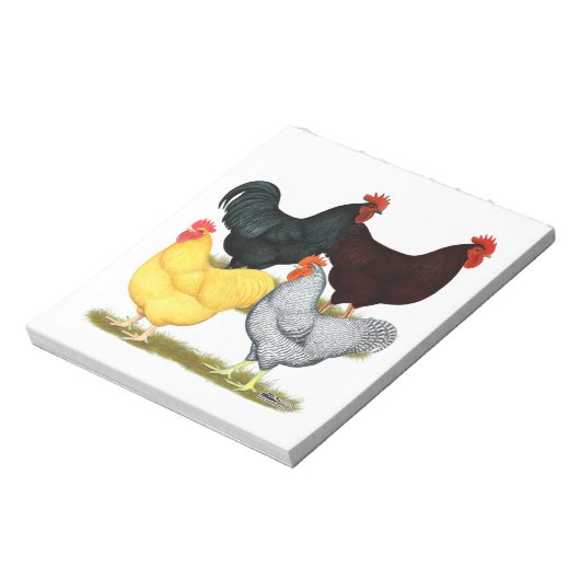 Heavy Rooster Chicken Quartett Notizblock (Rotiert)