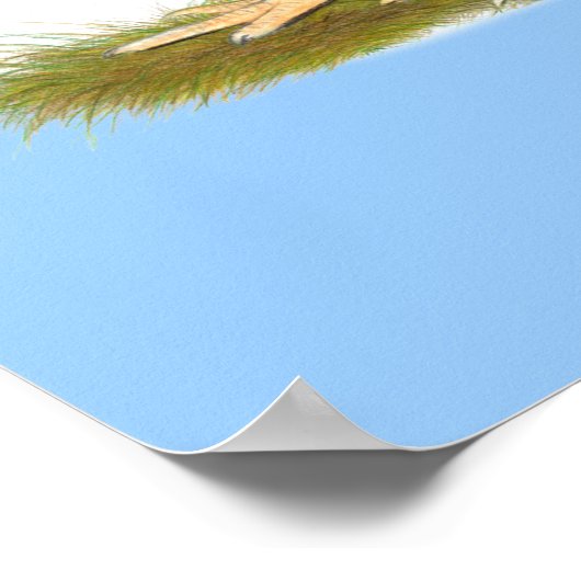 Heavy Rooster Chicken Quartett Poster (Ecke)