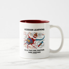 Hebbian, das Zellen-Feuer verdrahten lernt Zweifarbige Tasse