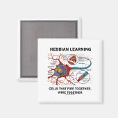 Hebbian Learning Cells brennen gemeinsam Wire Magnet (Vorderseite/Rückseite)