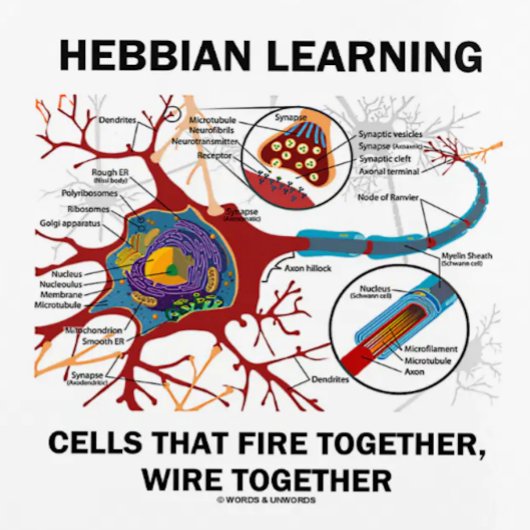 Hebbian Learning Cells brennen gemeinsam Wire Planer