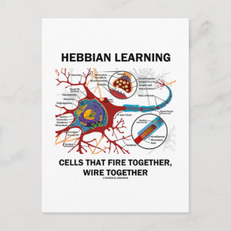 Hebbian Learning Cells brennen gemeinsam Wire Postkarte