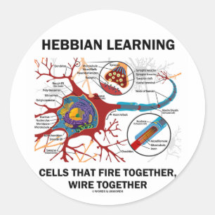 Hebbian Learning Cells brennen gemeinsam Wire Runder Aufkleber