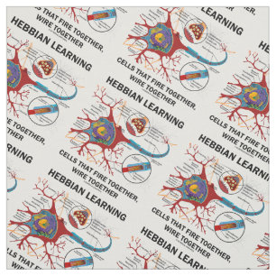 Hebbian Learning Cells brennen gemeinsam Wire Stoff