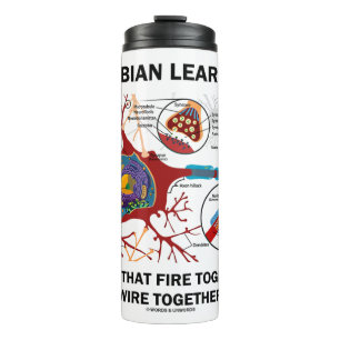 Hebbian Learning Cells brennen gemeinsam Wire Thermosbecher