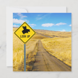 Heben Sie die Augen für Schweine, die eine Flugkar Mitteilungskarte