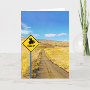 Heben Sie die Augen für Schweine, die fliegen könn Karte